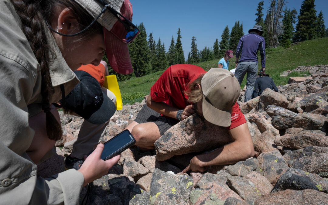 Pika Patrol — An innovative mobile app to help the community monitor the iconic American pika in Colorado