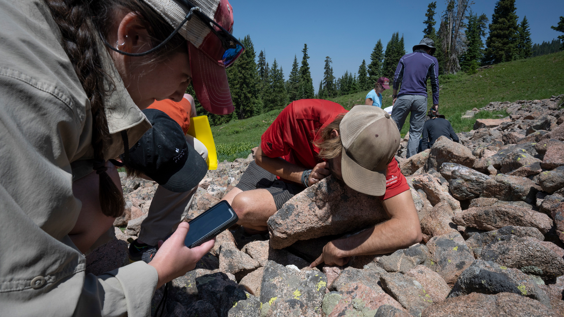 Volunteers recording pika observations with an app on the talus