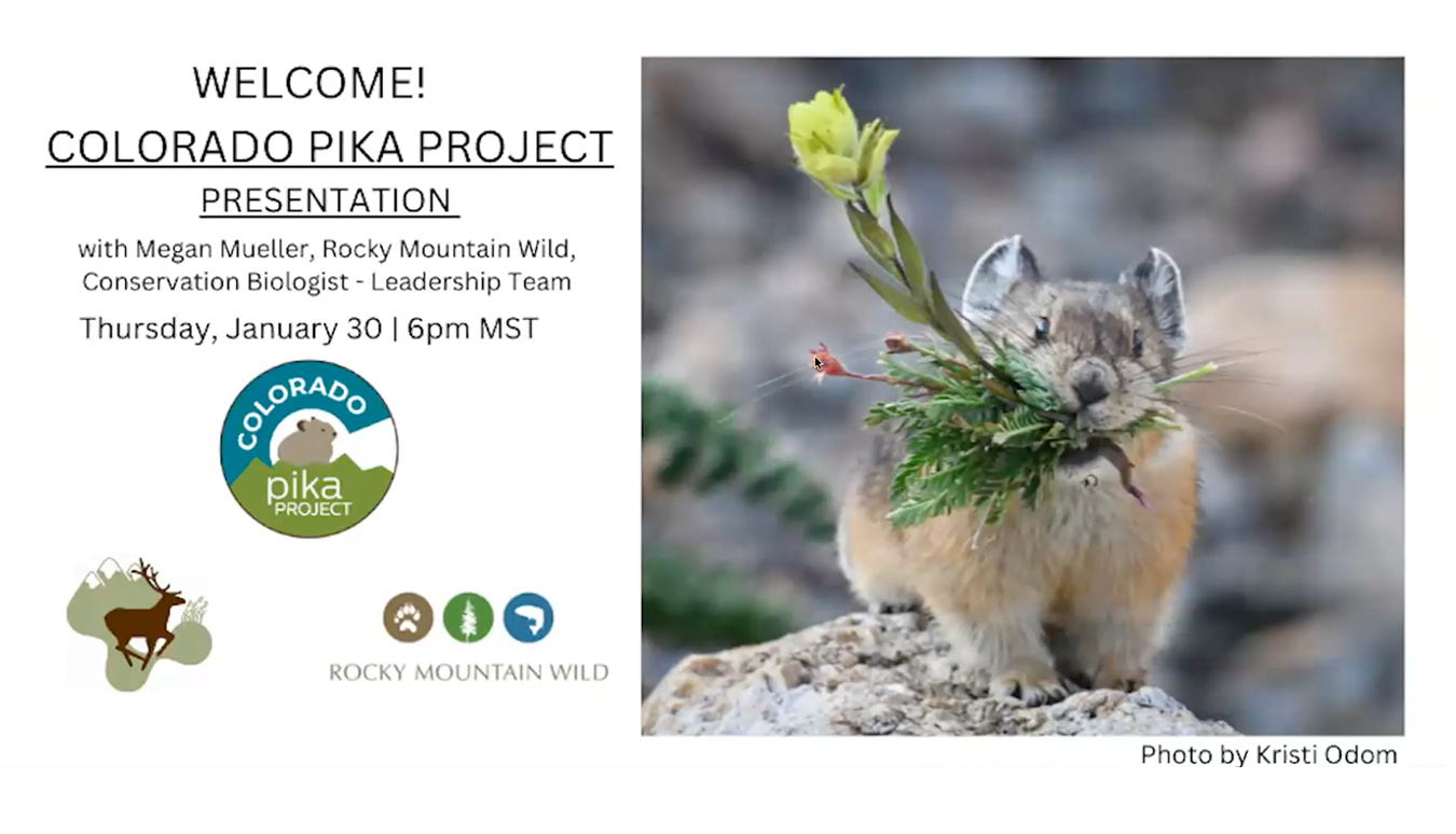 Pika Presentation slide