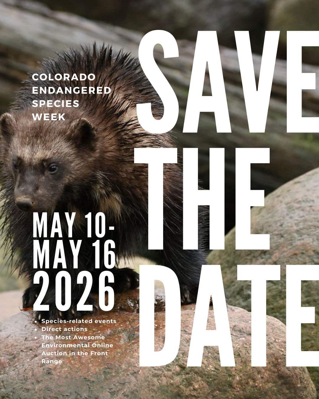 Save the Date for Colorado Endangered Species Week 2026