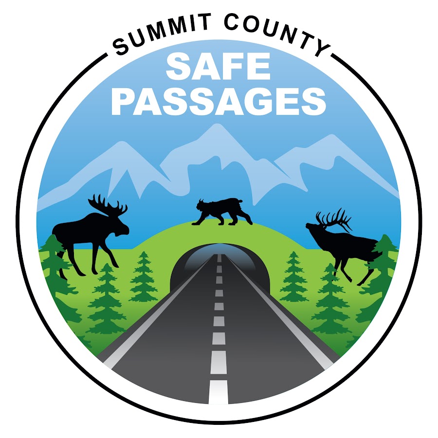 Summit County Safe Passages Logo